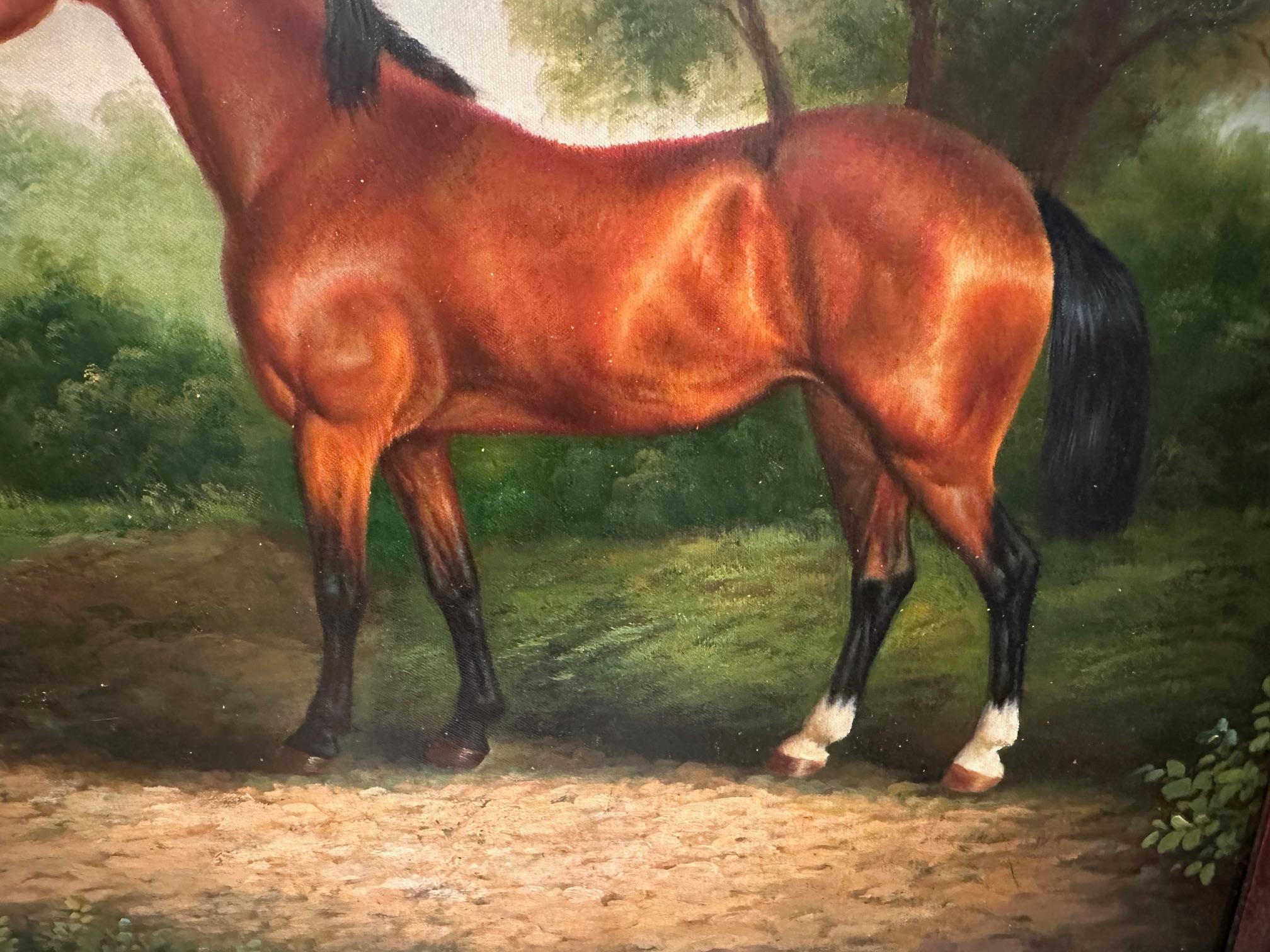 American Eye Catching Equestrian Portrait of Glistening Thoroughbred Horse