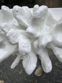 Eye Catching Large White Faux Coral Mirror