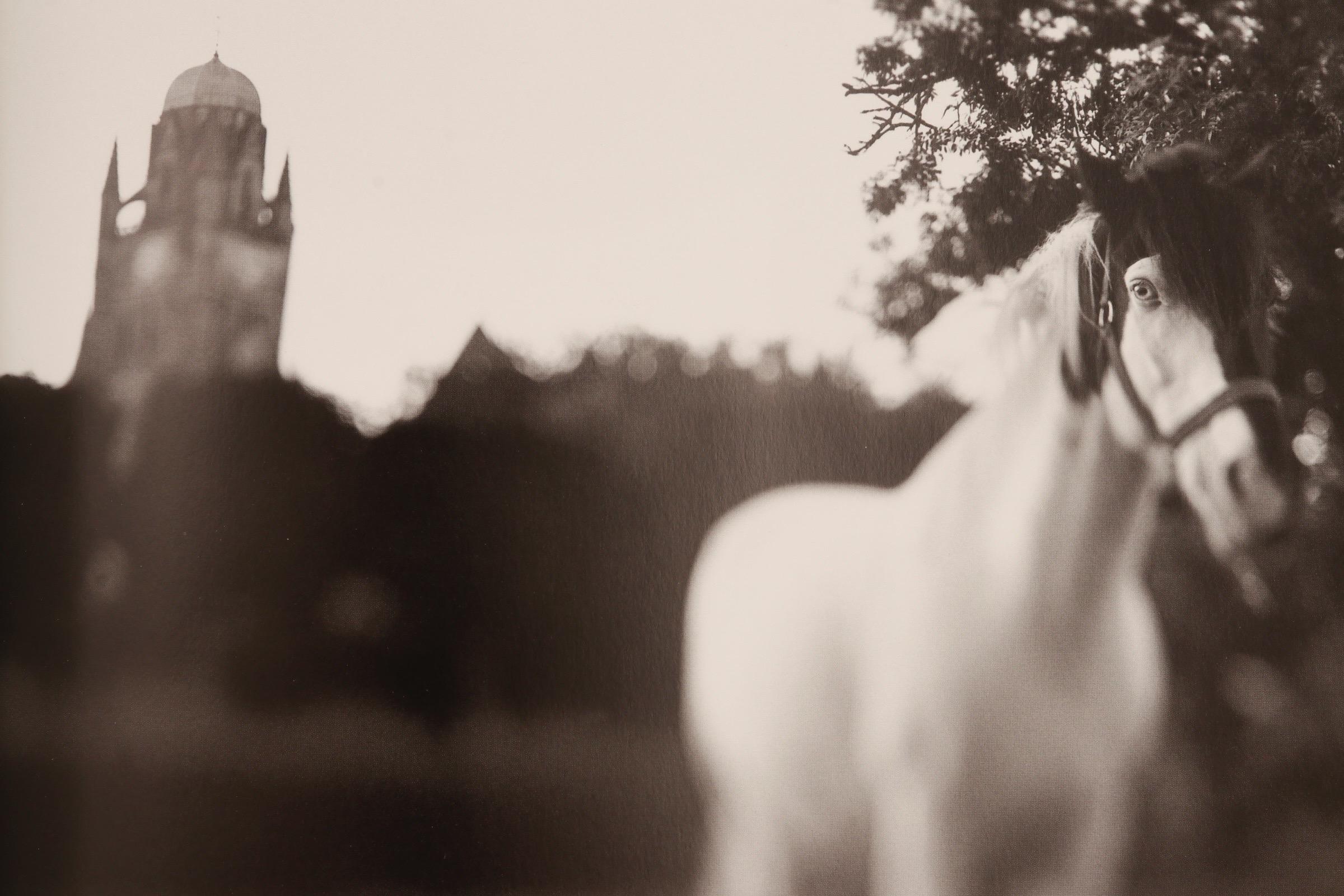 Ezekiel's Horse Keith Carter Photographs In Good Condition For Sale In Bradenton, FL