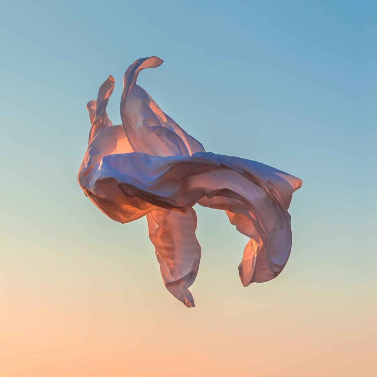 Still-Life Print de Ezequiel Montero Swinnen - Viento 09