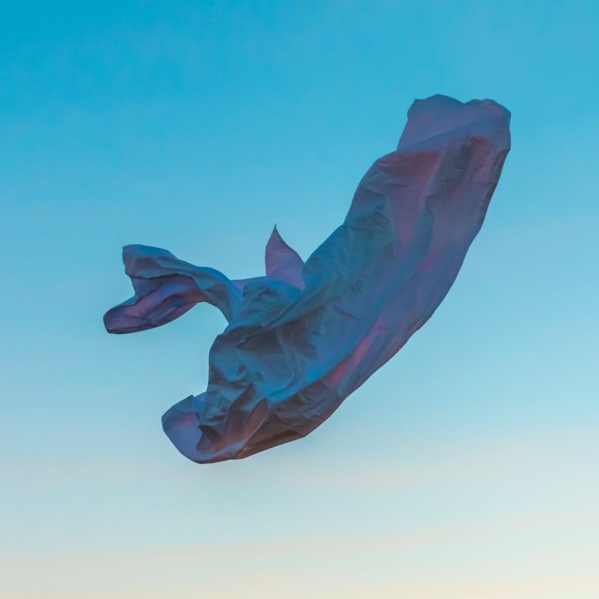 Still-Life Print di Ezequiel Montero Swinnen - Viento 22