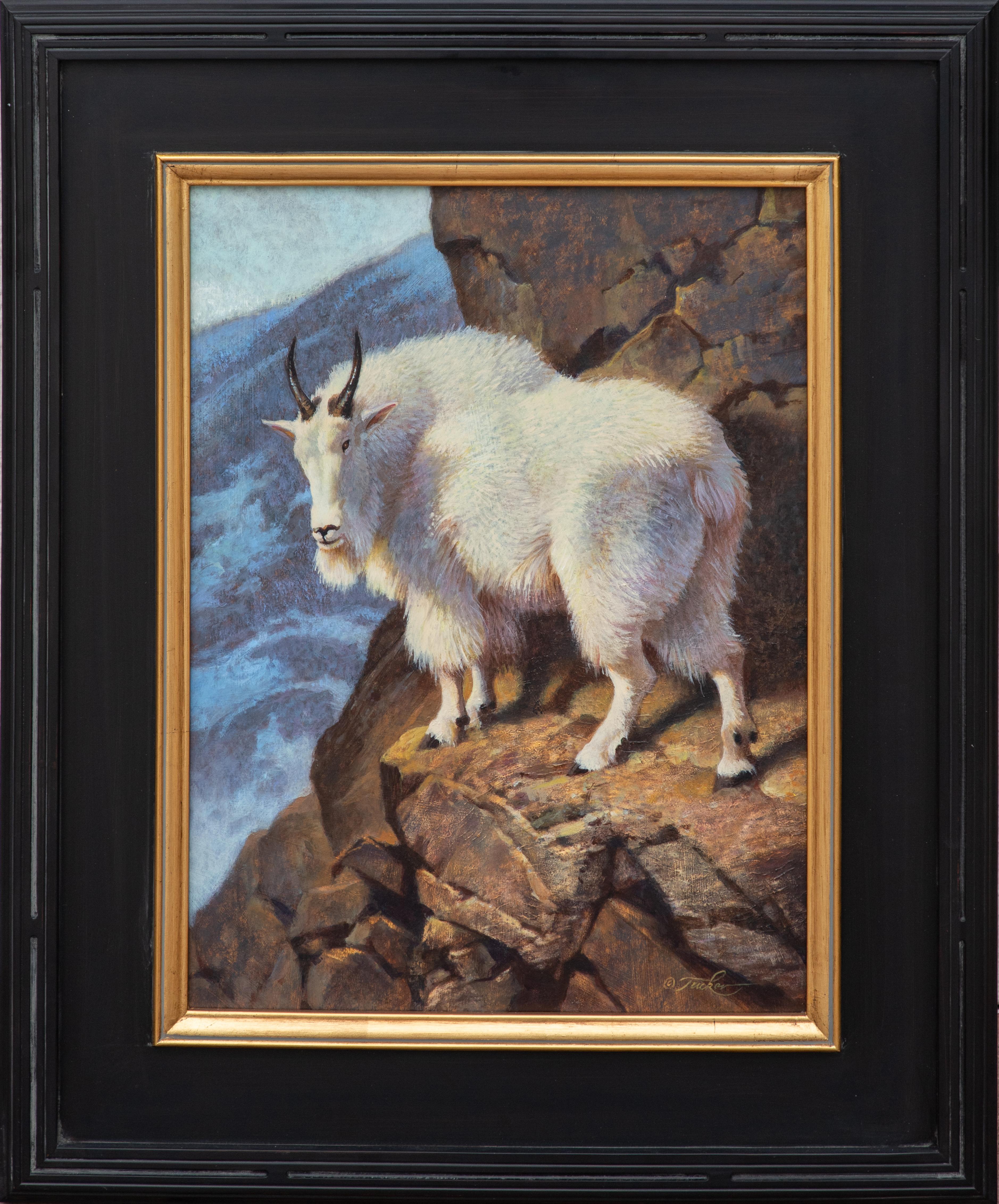 Animal Animal Paintings
