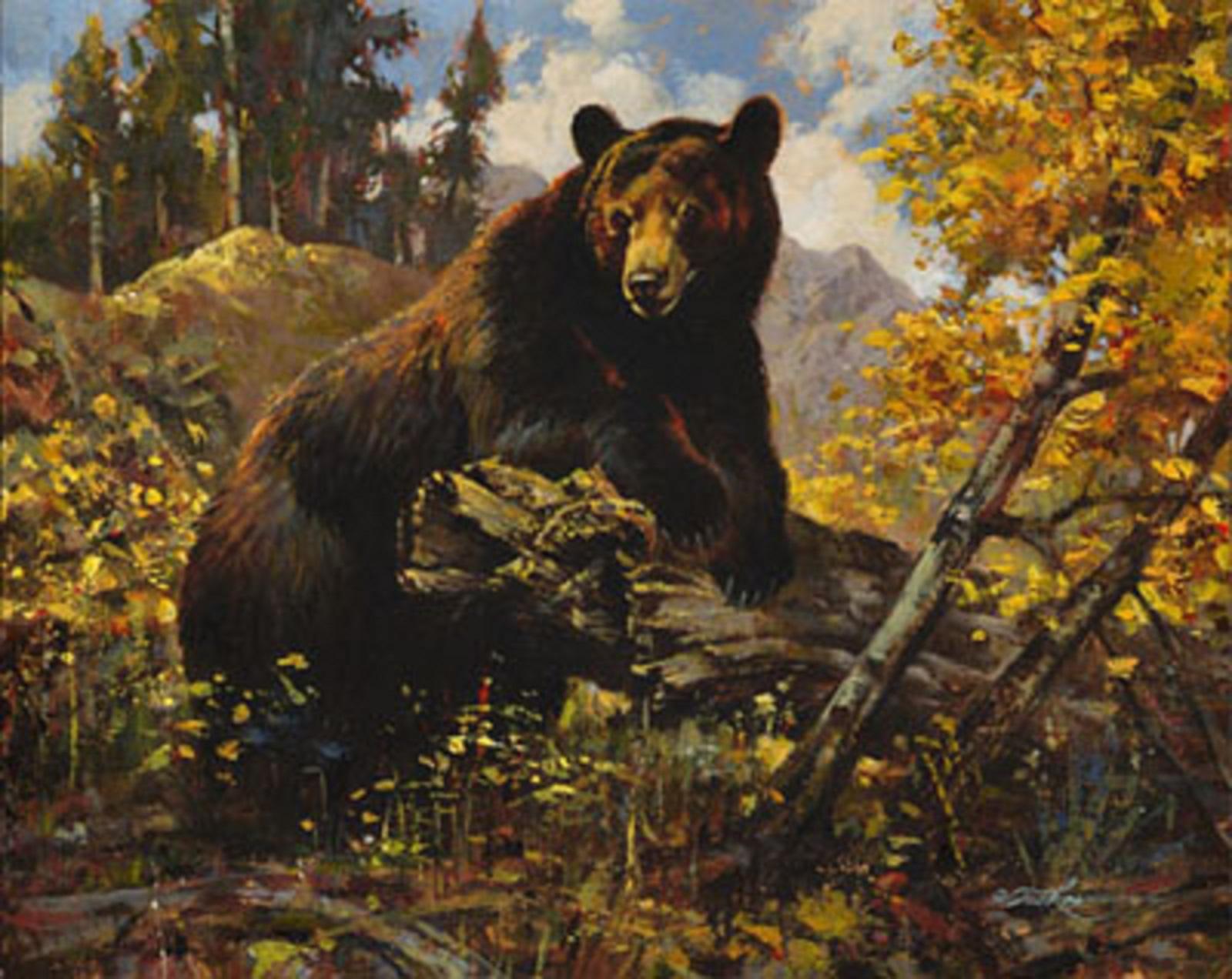 Aspen Schwarzer Bär (Realismus), Painting, von Ezra Tucker