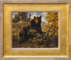 Aspen Black Bear