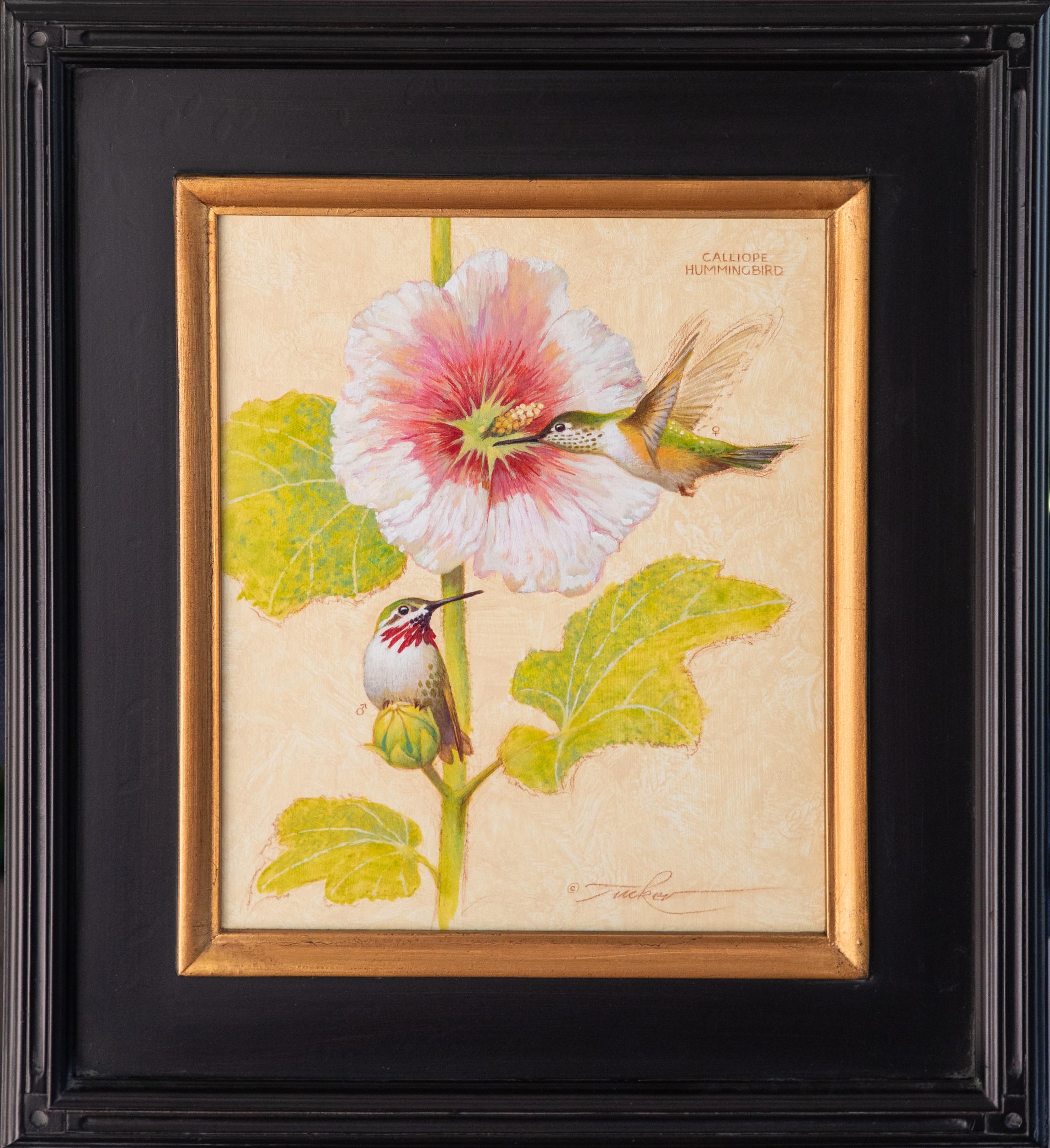 Sternwartenkolibri – Painting von Ezra Tucker