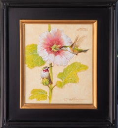 Sternwartenkolibri