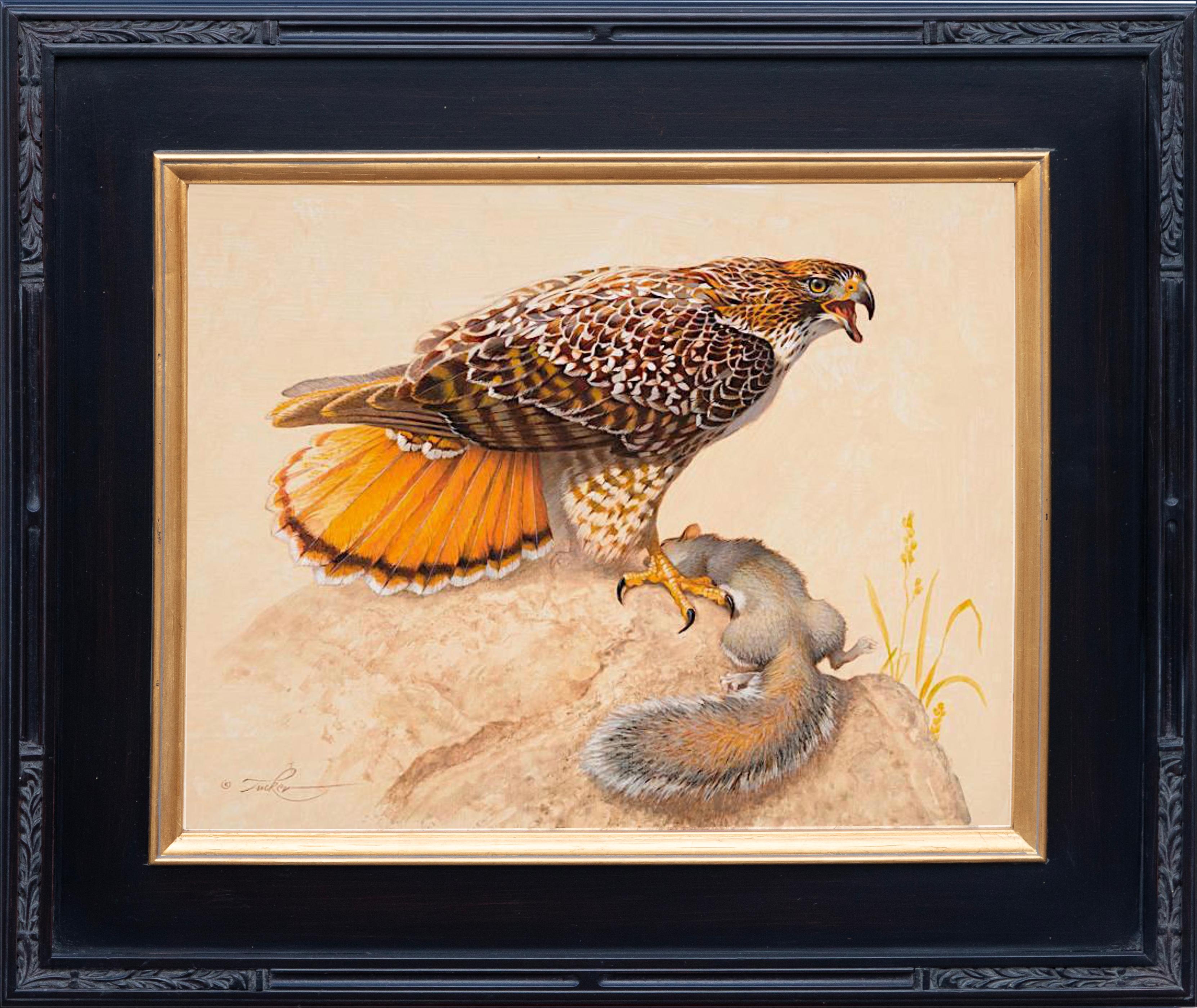 Red-Tailed Hawk & Grey Squirrel - Painting by Ezra Tucker