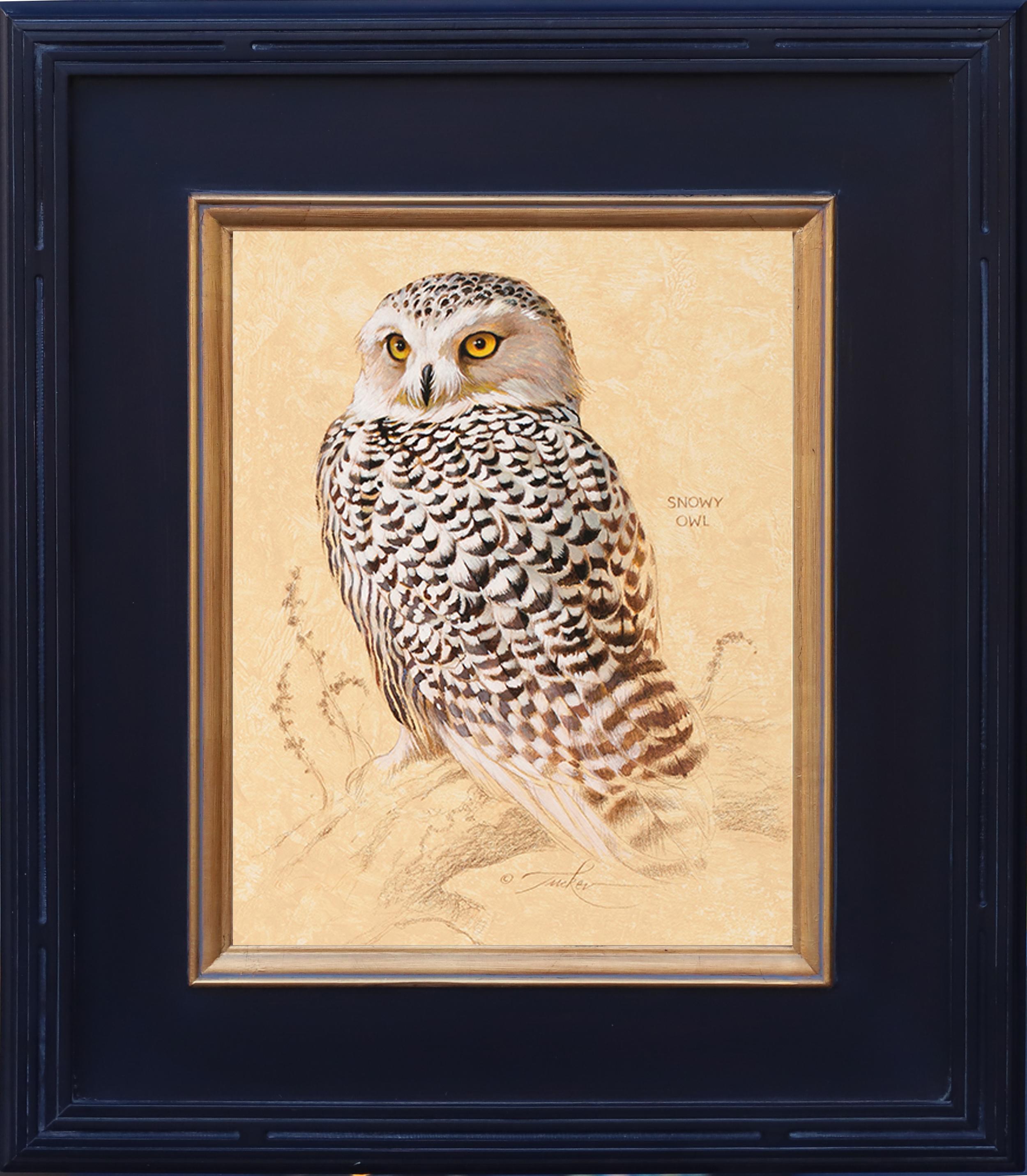 Ezra Tucker Animal Painting – Schneeeule