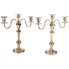 F. B. Rogers Silver Co. Classical Style Candelabra in Silvered Copper