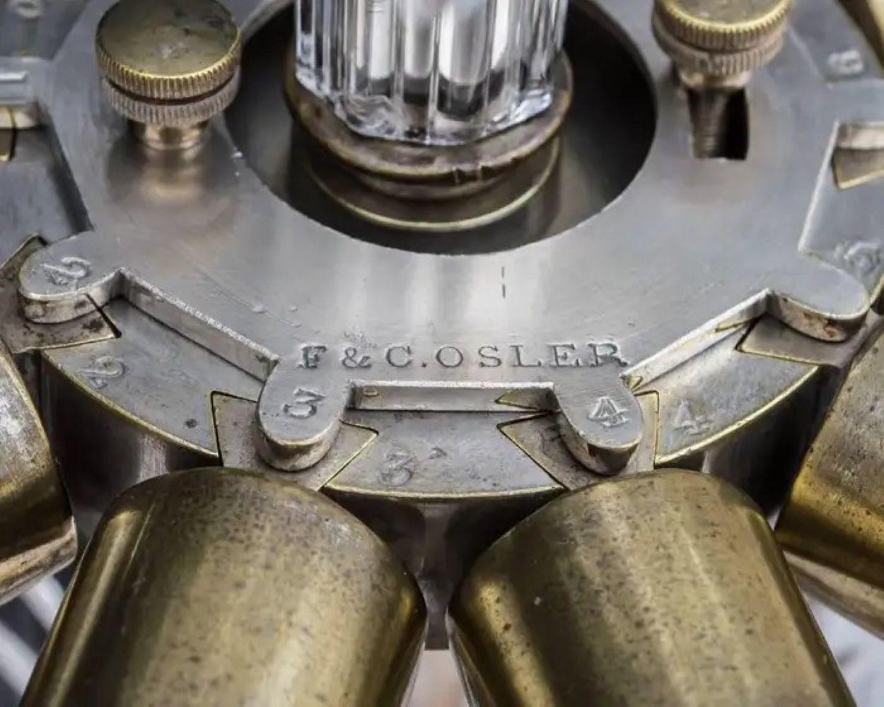 F & C Osler 19th Century Gasolier, now electrified. In Good Condition In Atlanta, GA