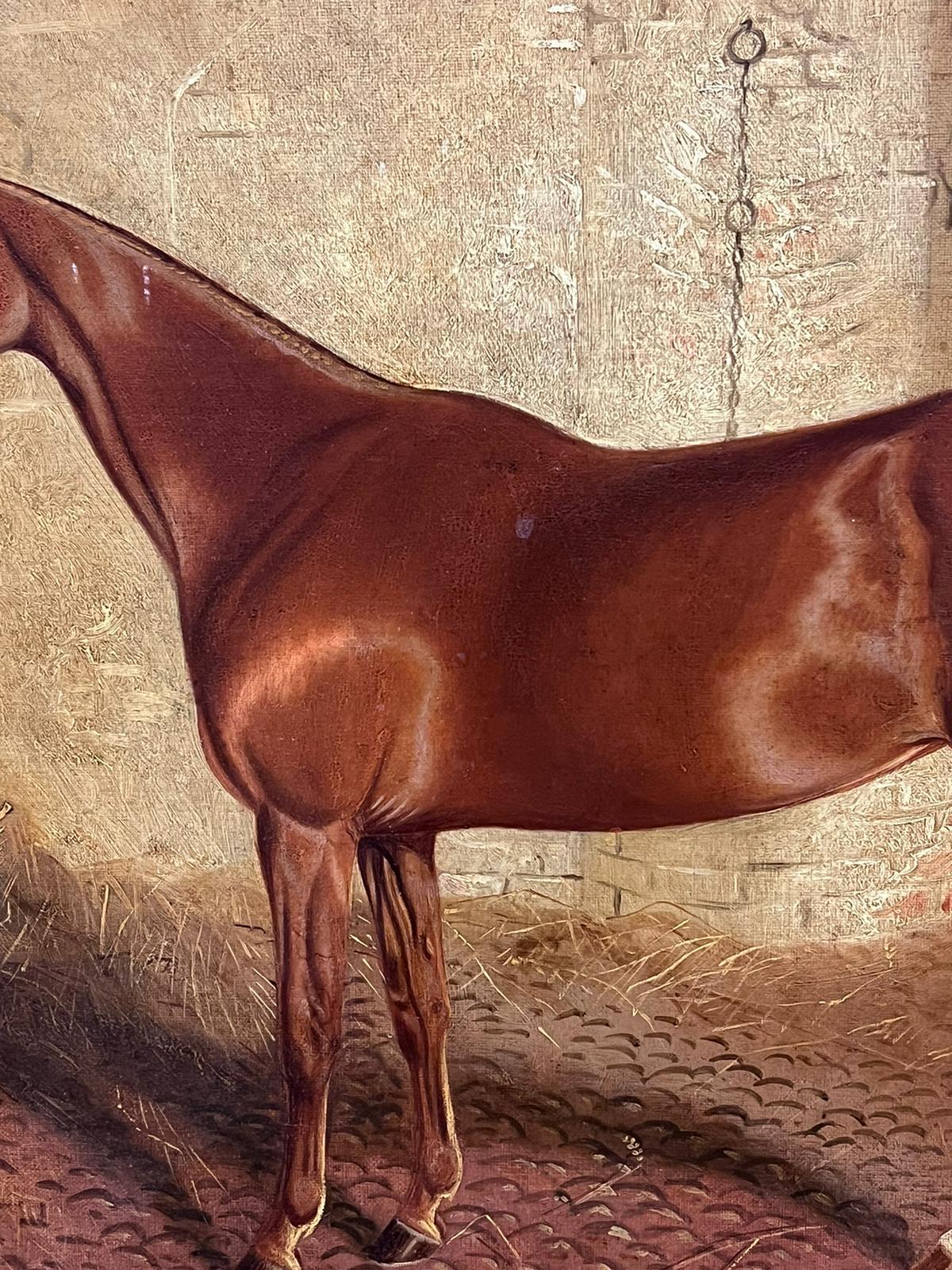 Porträt eines Pferdes in einem Stall
von F. C. Partridge, signiert und datiert 1880er Jahre
Englischer Künstler, 19. Jahrhundert
Öl auf Leinwand, gerahmt
Gerahmt: 21 x 28 Zoll 
Leinwand: 18 x 24 Zoll
Provenienz: Privatsammlung,