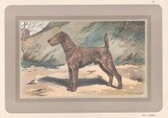 Irish Terrier, French hound dog chromolithograph print, 1931