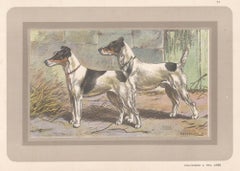 Smooth Haired Fox Terrier, French hound dog chromolithograph print, 1931