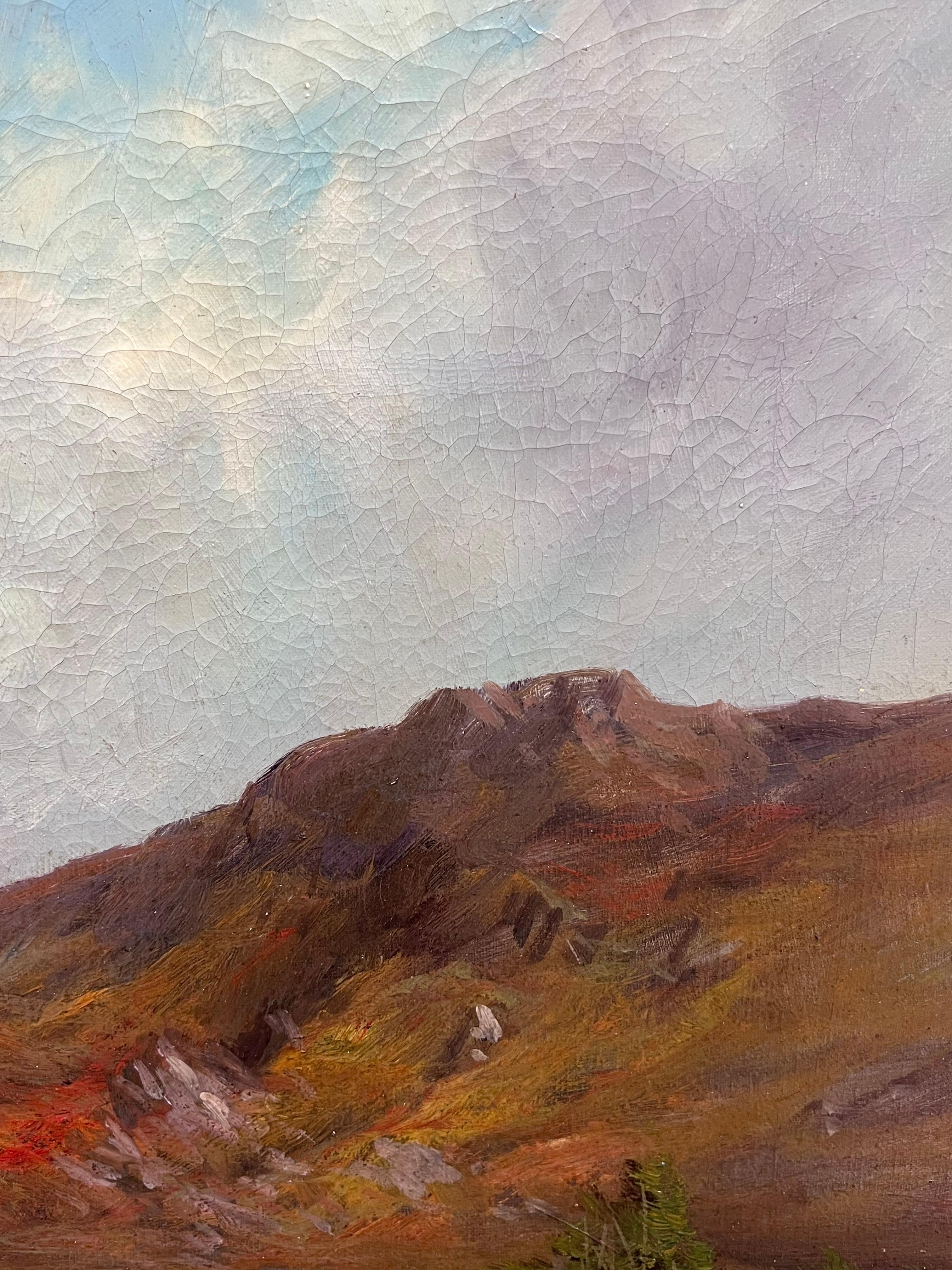 Las Tierras Altas de Escocia
firmado por F. E. Jamieson (británico 1895-1950), firmado con seudónimo de artista
óleo sobre lienzo, enmarcado
enmarcado: 26 x 35 pulgadas
lienzo: 20 x 30 pulgadas
procedencia: colección privada, Francia
estado: El