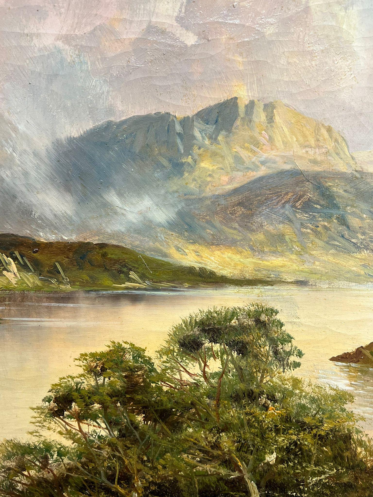 Majestic Highland Loch Landscape Serenity Oil Painting Scenic Mountain Lake For Sale 1