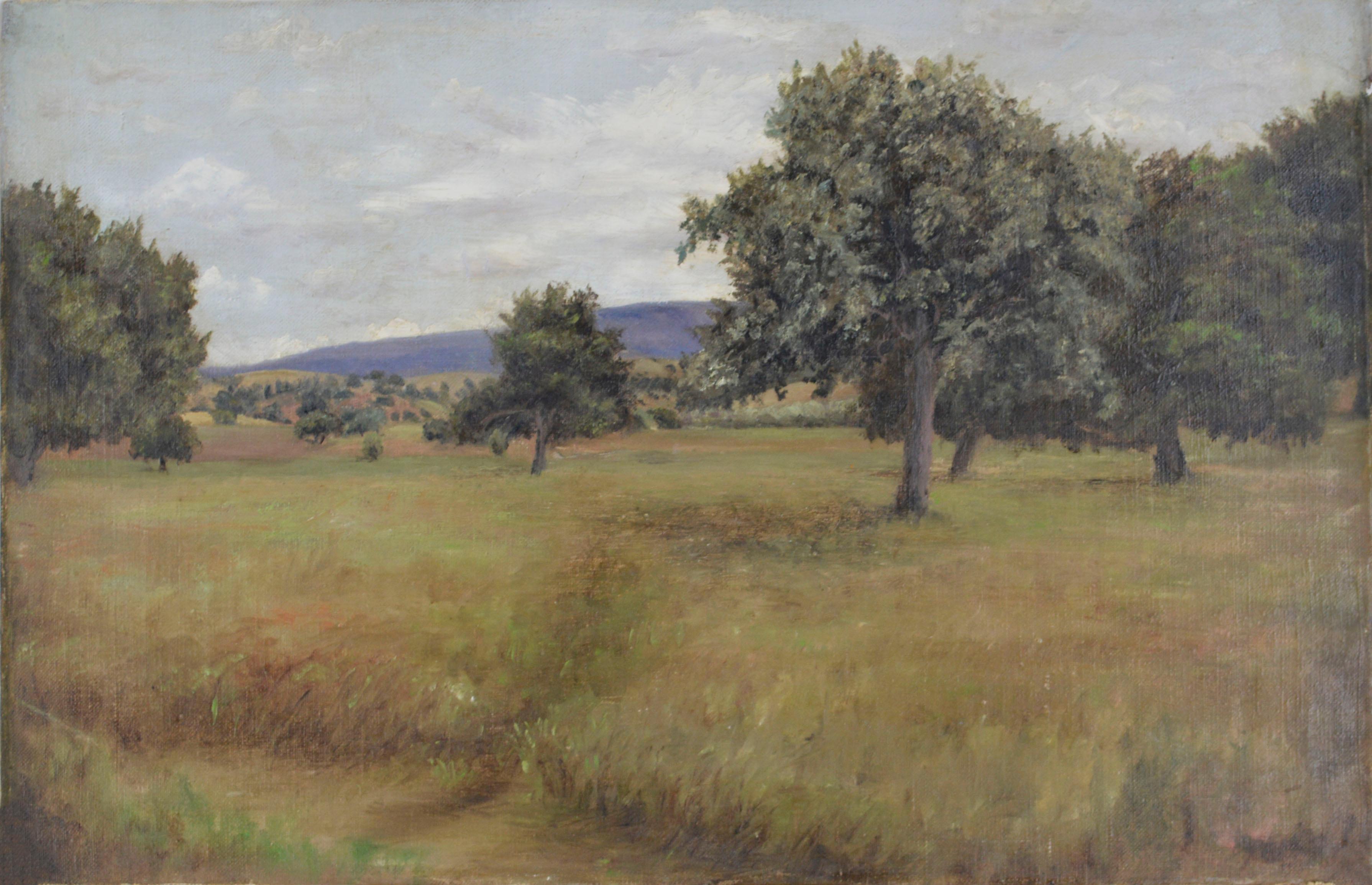 F. Kershaw Landscape Painting - Early 20th Century California Plein Air -- Central California Live Oaks 