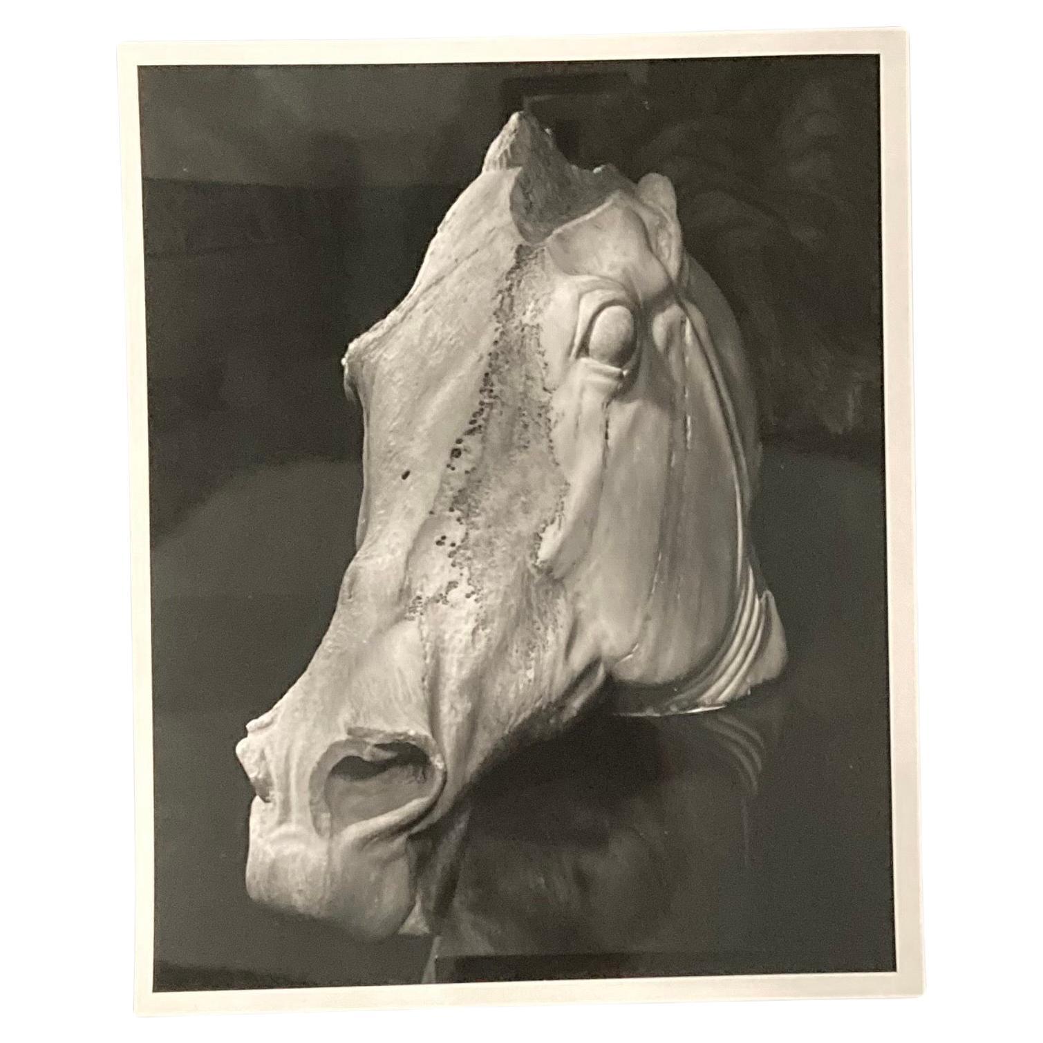 F. L. Kennett, "Ancient Horse Head", original 1950s black and white photograph