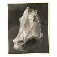F. L. Kennett, "Cabeza de caballo antigua", fotografía original en blanco y negro de los años 50