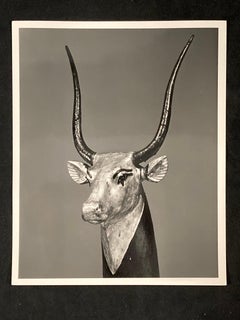 F. L. Kenett, "Head of Hathor", original 1950s black and white photograph