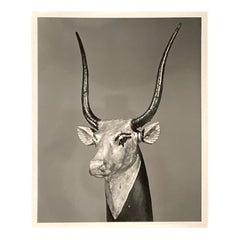 F. L. Kenett, "Head of Hathor", original 1950s black and white photograph