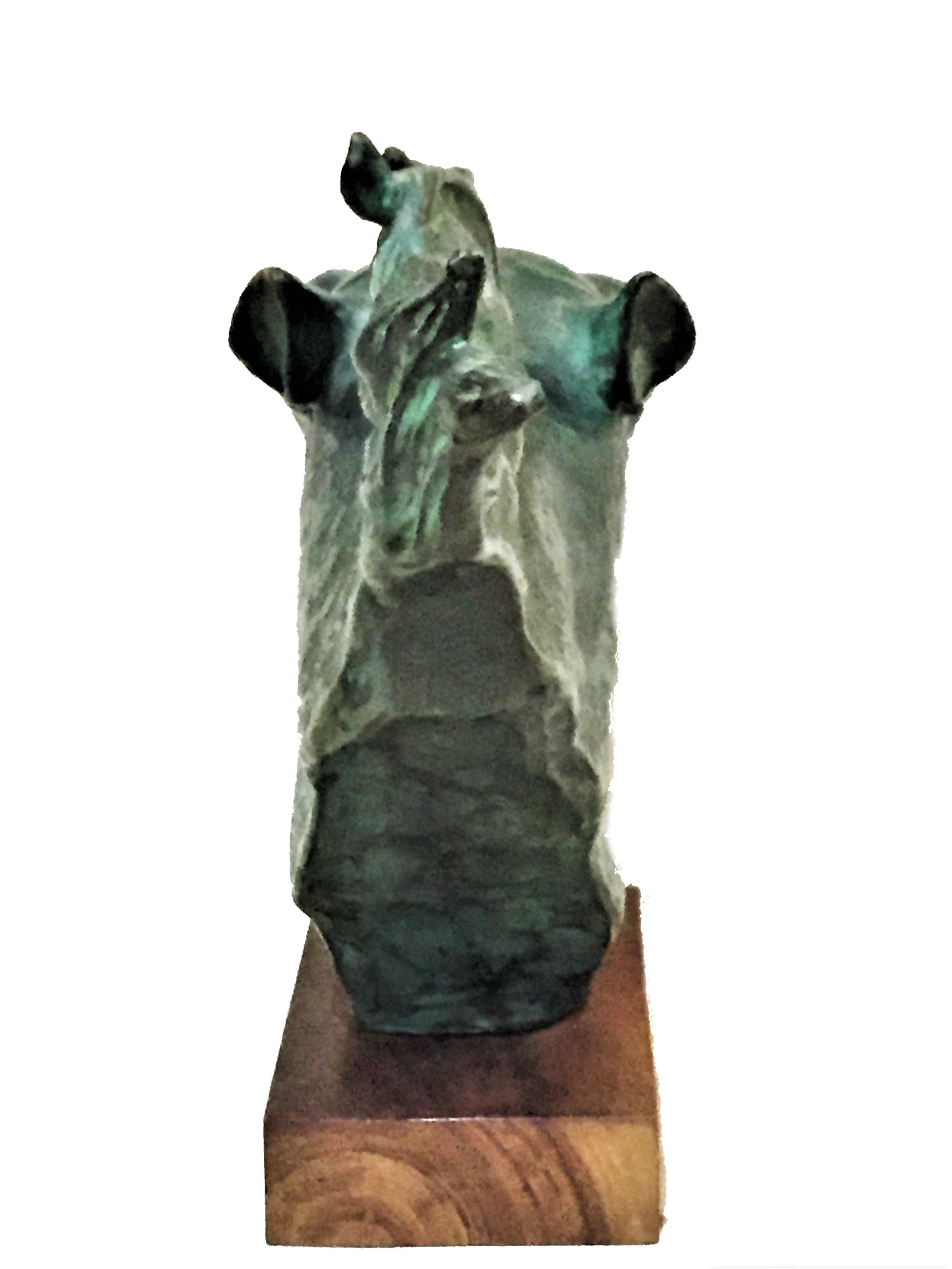 Mid-20th Century F. Mortini Horse Head Italian Modernist Painted Terracotta Sculpture, circa 1950 For Sale