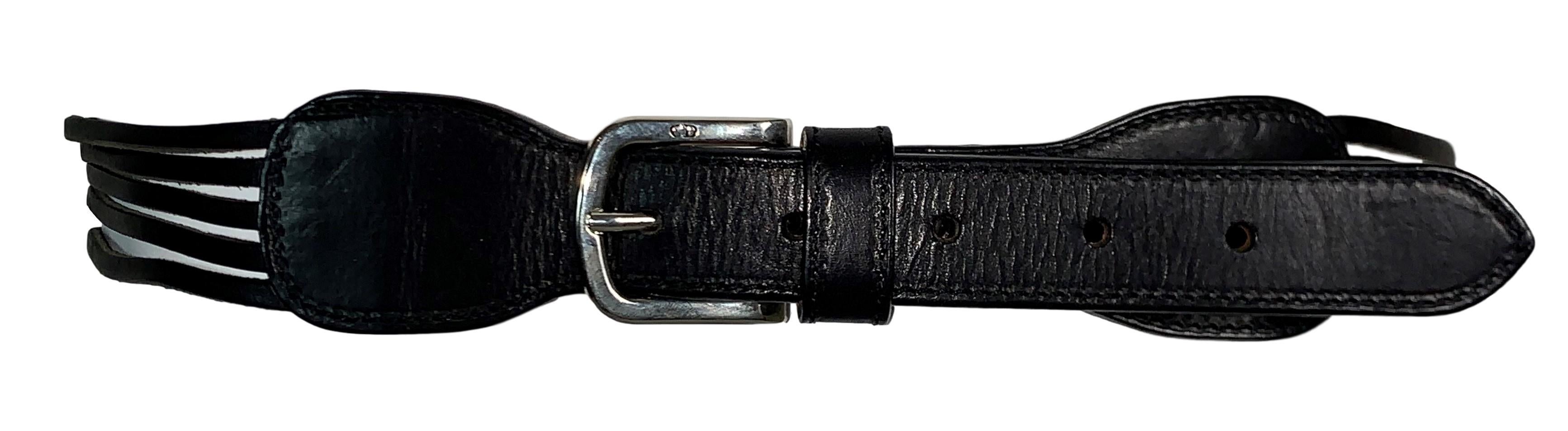 dior champion
