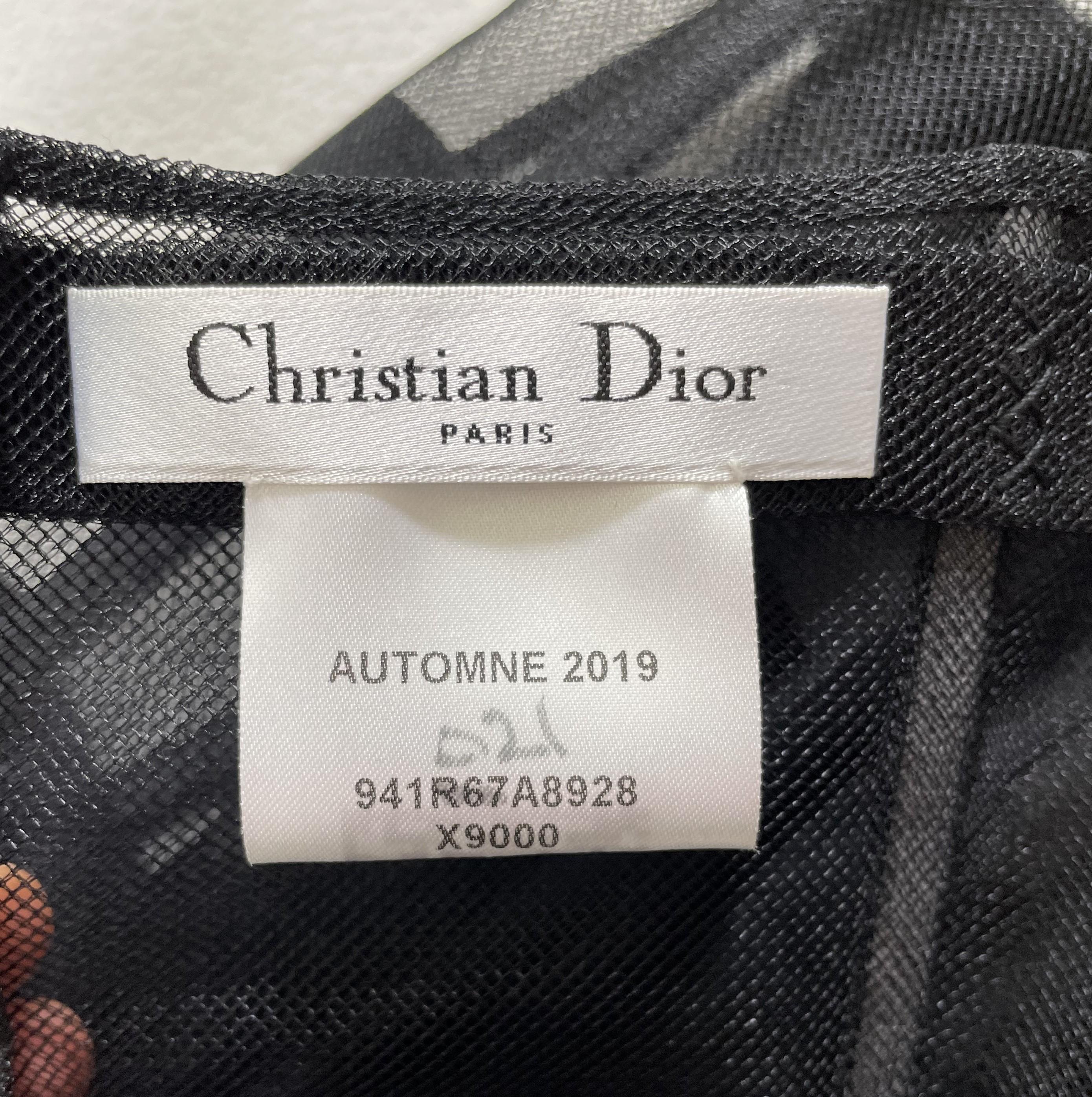 Women's F/W 2019 Christian Dior Sheer Black Tulle Mesh Cage Bustier High Waist Skirt