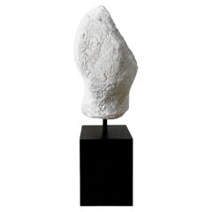 F04 Handmade Sculptural Bust On Wood Plinth by Object Atelier