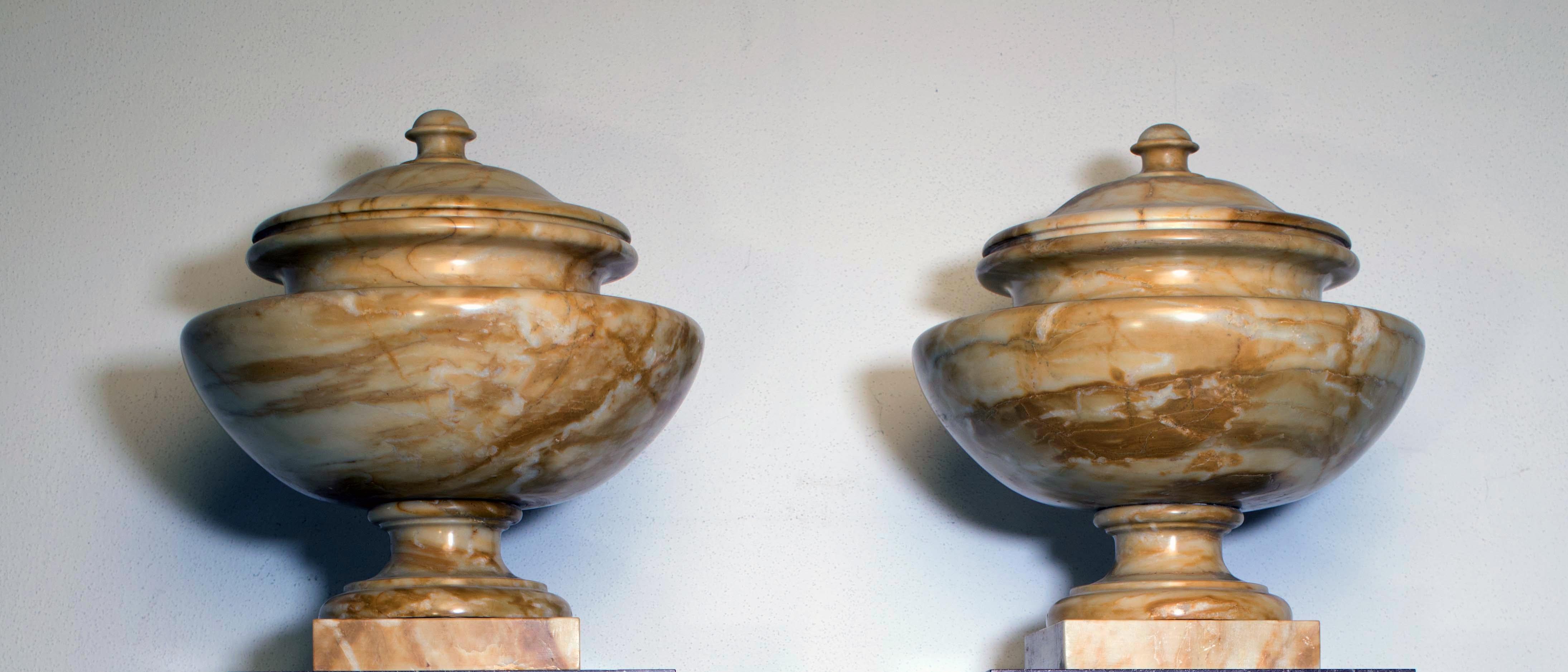 A very impressive pair of urns made in Siena yellow marble, one of the most elegance and precious material used for the luxury and important decorative pieces. Hand-carved directly from the block.