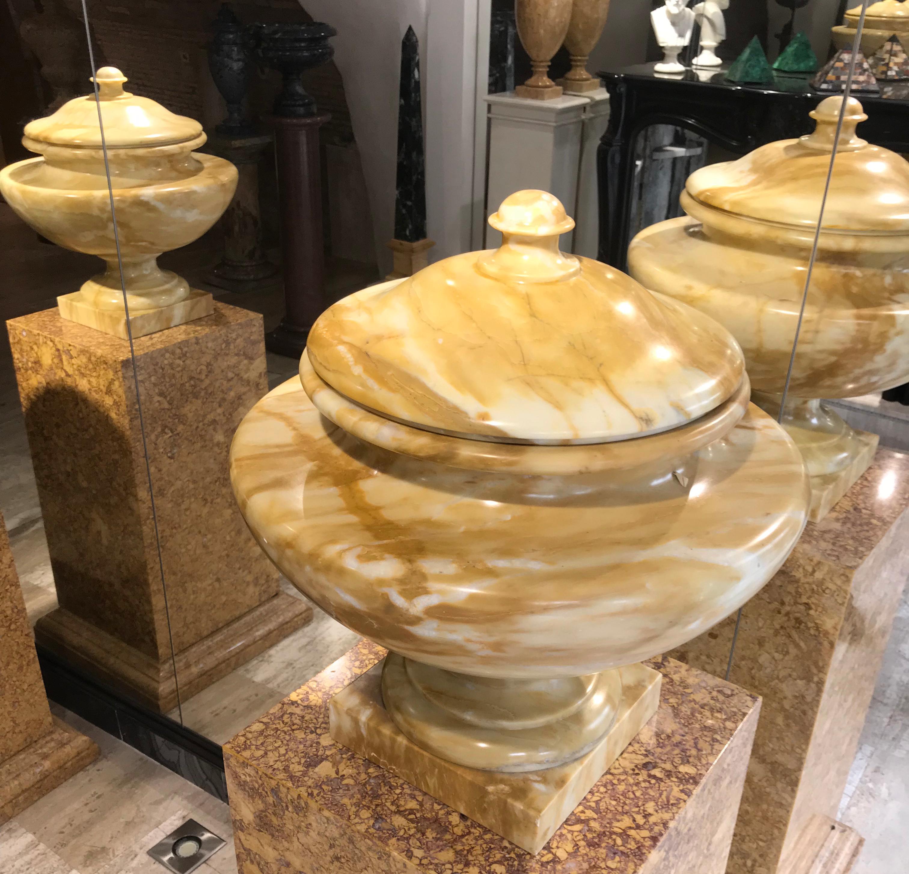 Neoclassical Italian Tuscany Marble Siena Yellow Pair of Urns For Sale 2