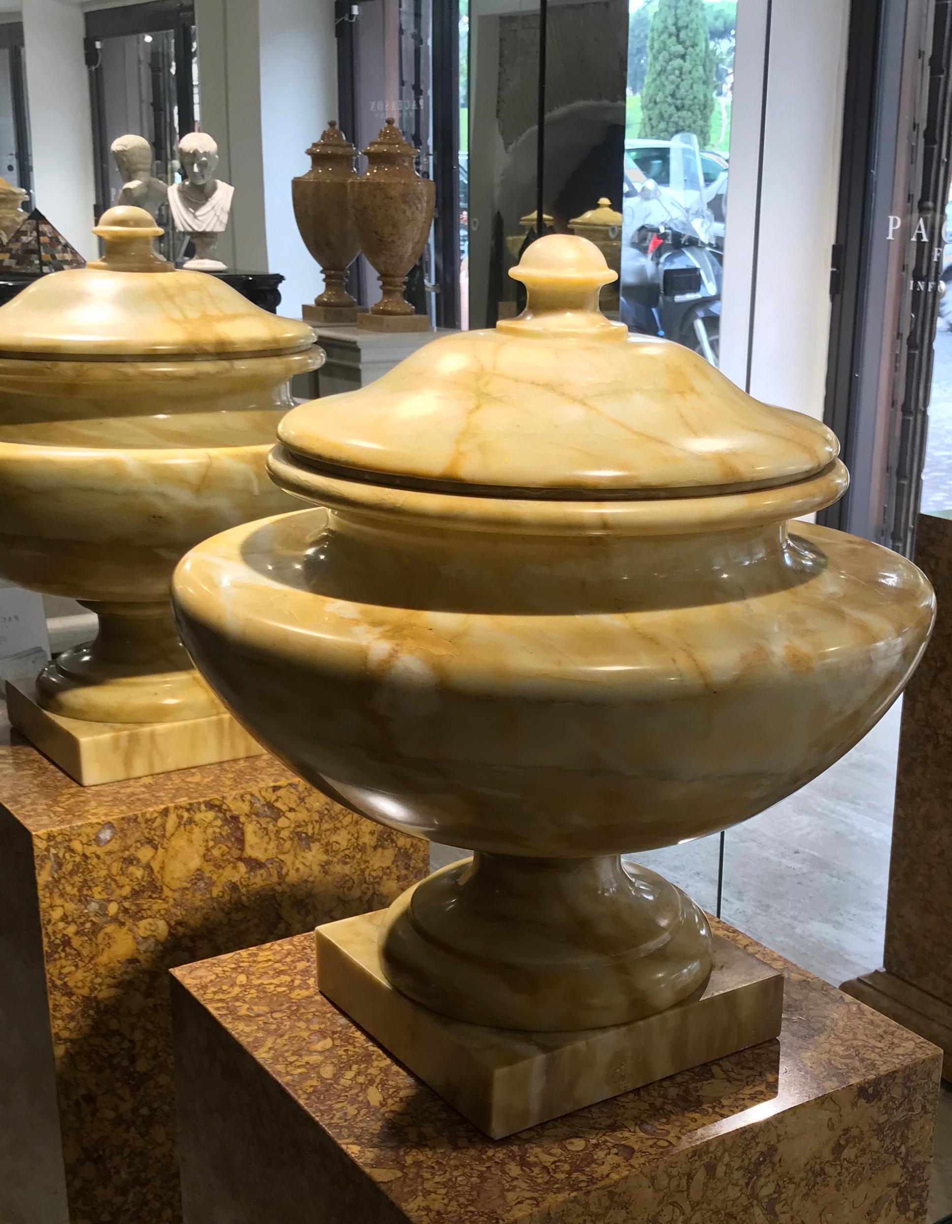 Neoclassical Italian Tuscany Marble Siena Yellow Pair of Urns For Sale 4