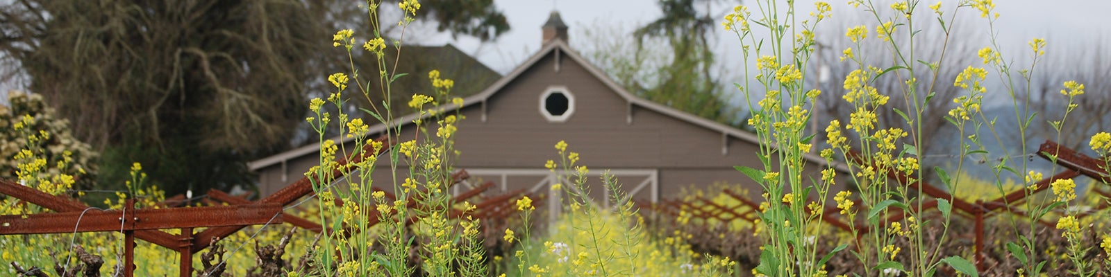AERENA Galleries & Gardens background