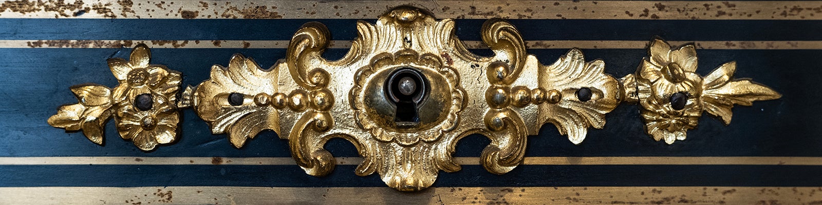 Cabinet of Curiosity