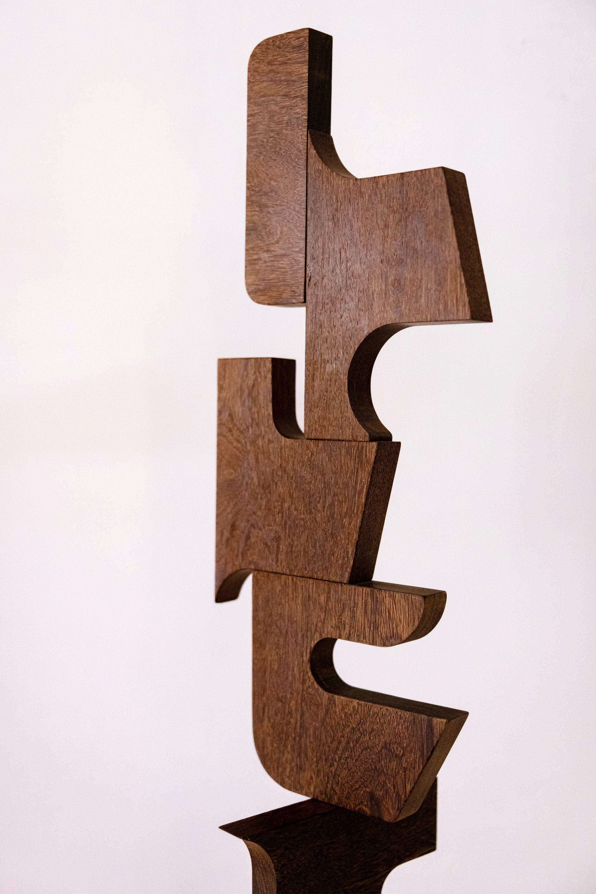 Sucupira - Sculpture Contemporaneo di Fabiana Preti