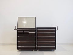Fabio Lenci for Bernini Chest of Drawers