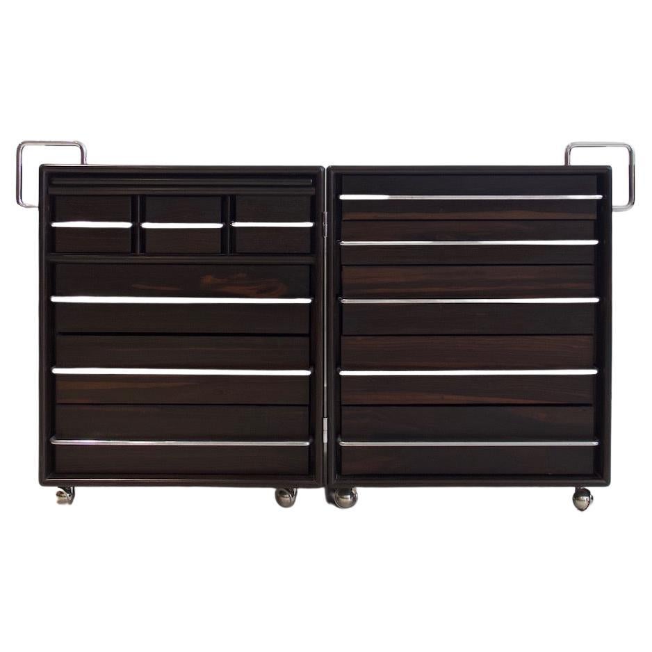 Fabio Lenci for Bernini Wood and Steel Chest of Drawers For Sale