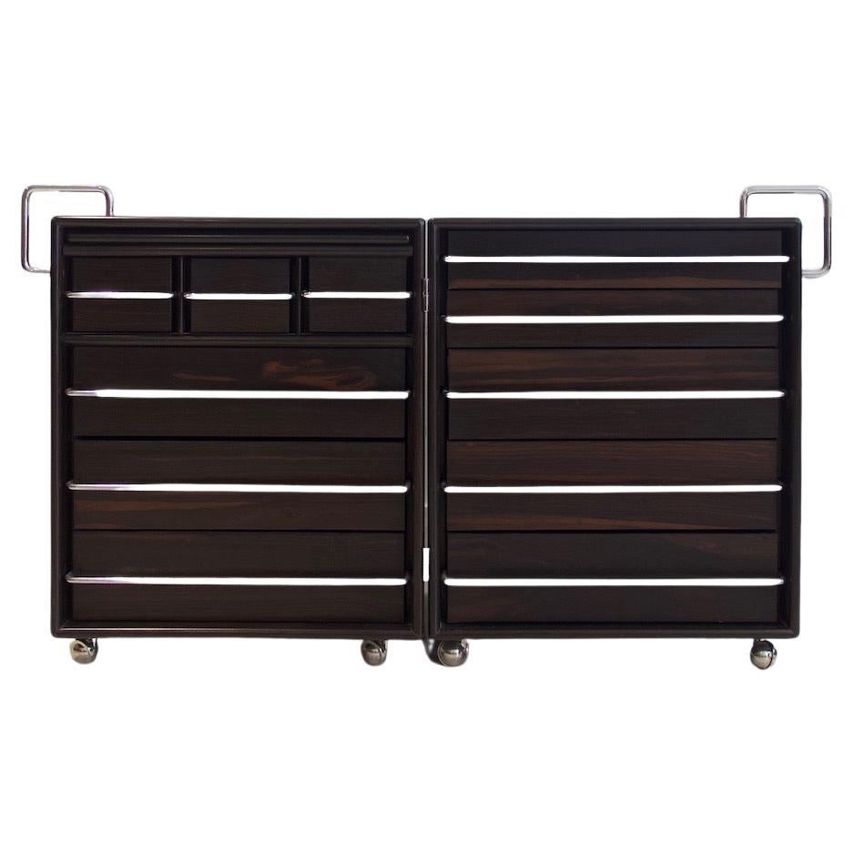 Fabio Lenci for Bernini Wood and Steel Chest of Drawers For Sale