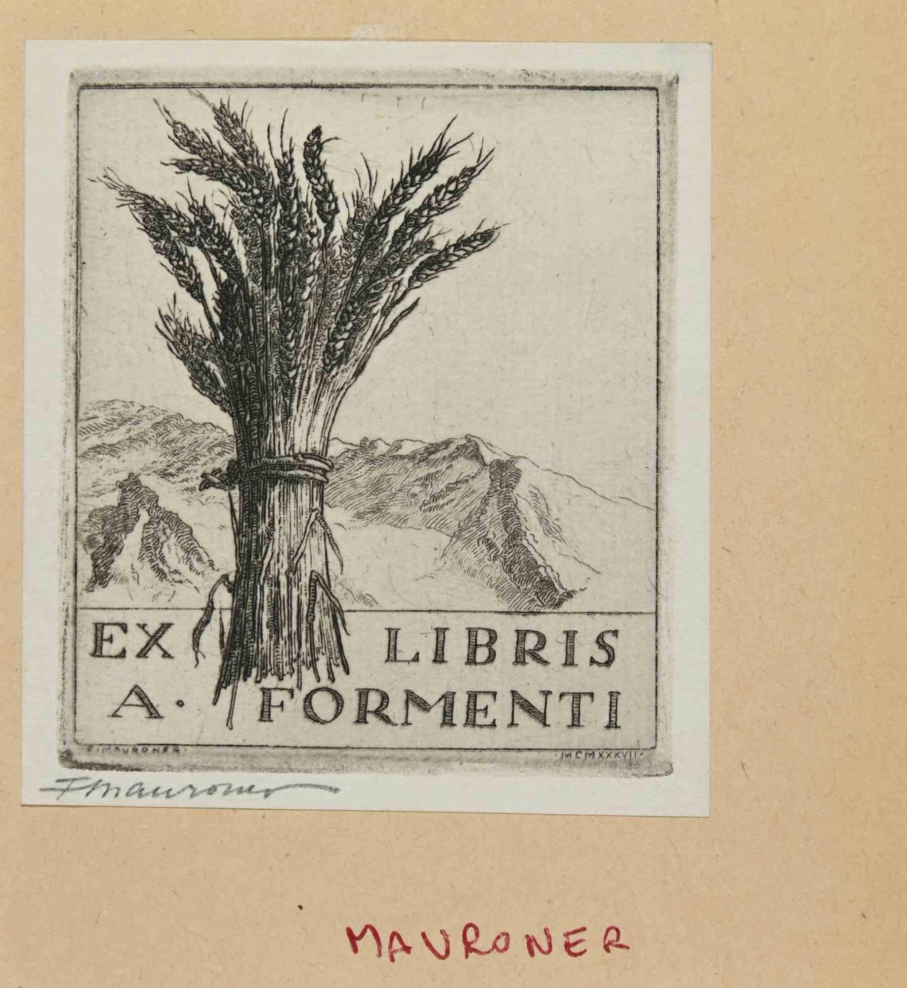 Ex Libris -A. Formenti is an Artwork realized in 1937,  by the Italian Artist Fabio Mauroner (1884-1947)

Etching print on ivory paper. Hand Signed on the left margin and dated "MCMXXXVII", on the right corner.

The work is glued on colored