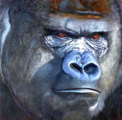 Gorilla animal wildlife portraiture Contemporary realism original oil painting