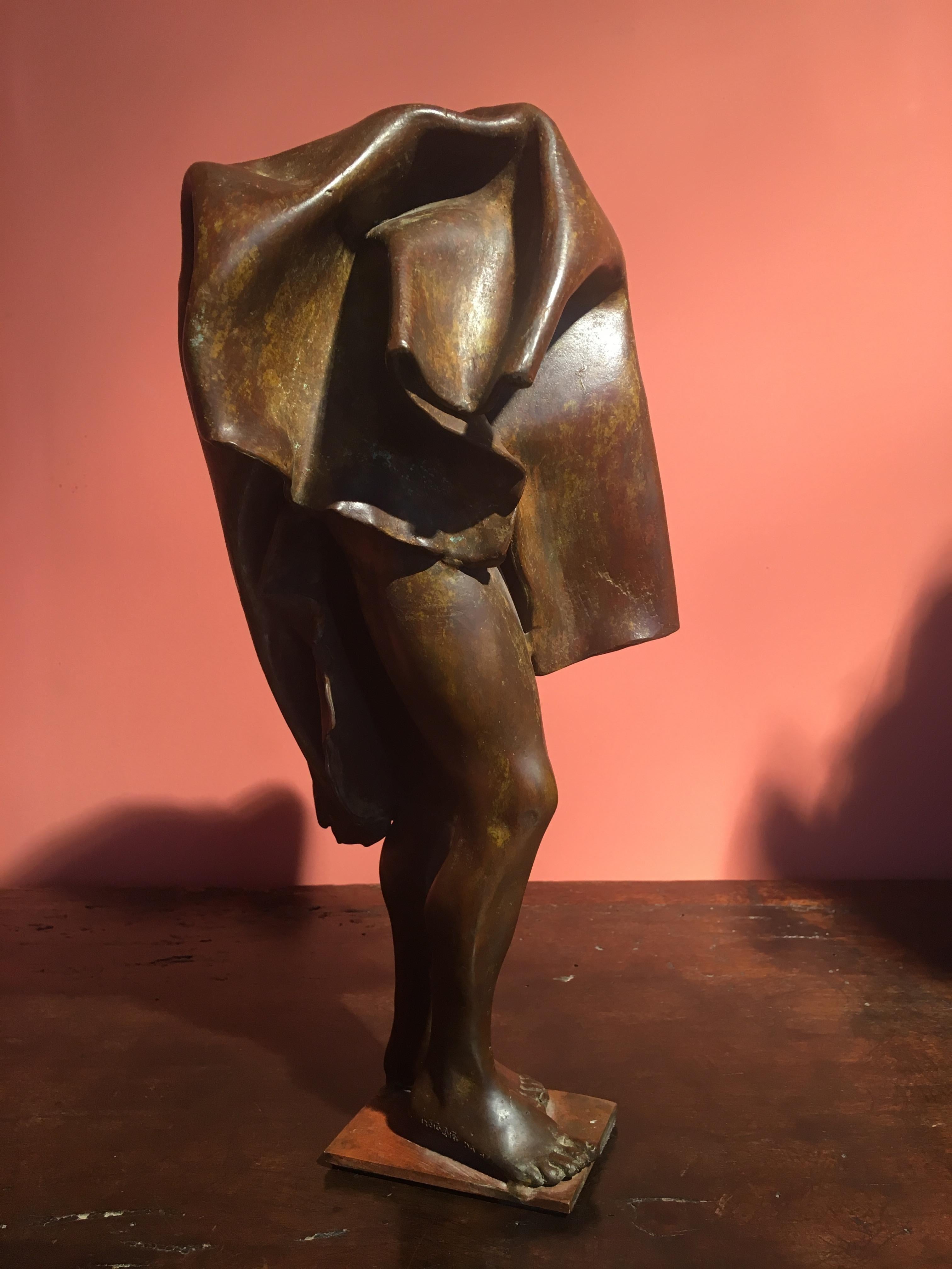 FABRICE LEBAR
Man under a sheet


Bronze patinated
Artist proof
Signed and numeroted 1/1.