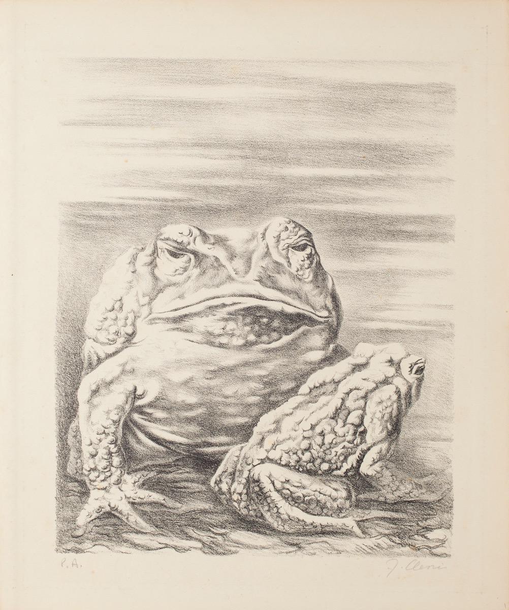 Les grenouilles est une lithographie enchanteresse réalisée en 1940 environ par Fabrizio Clerici (1913-1993).

Signé à la main au crayon, en bas à droite. Épreuve d'artiste "P.A", en bas à gauche.

L'œuvre représente deux grenouilles fantastiques