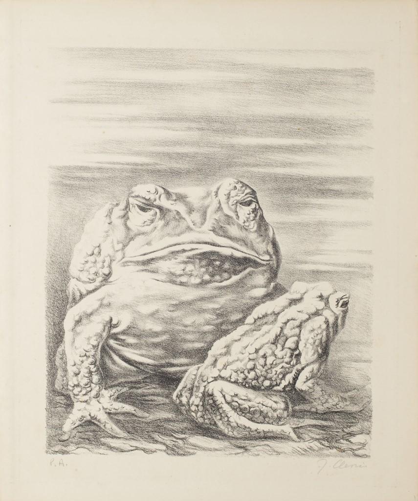 Die Froschs – Lithographie von Fabrizio Clerici – 20. Jahrhundert