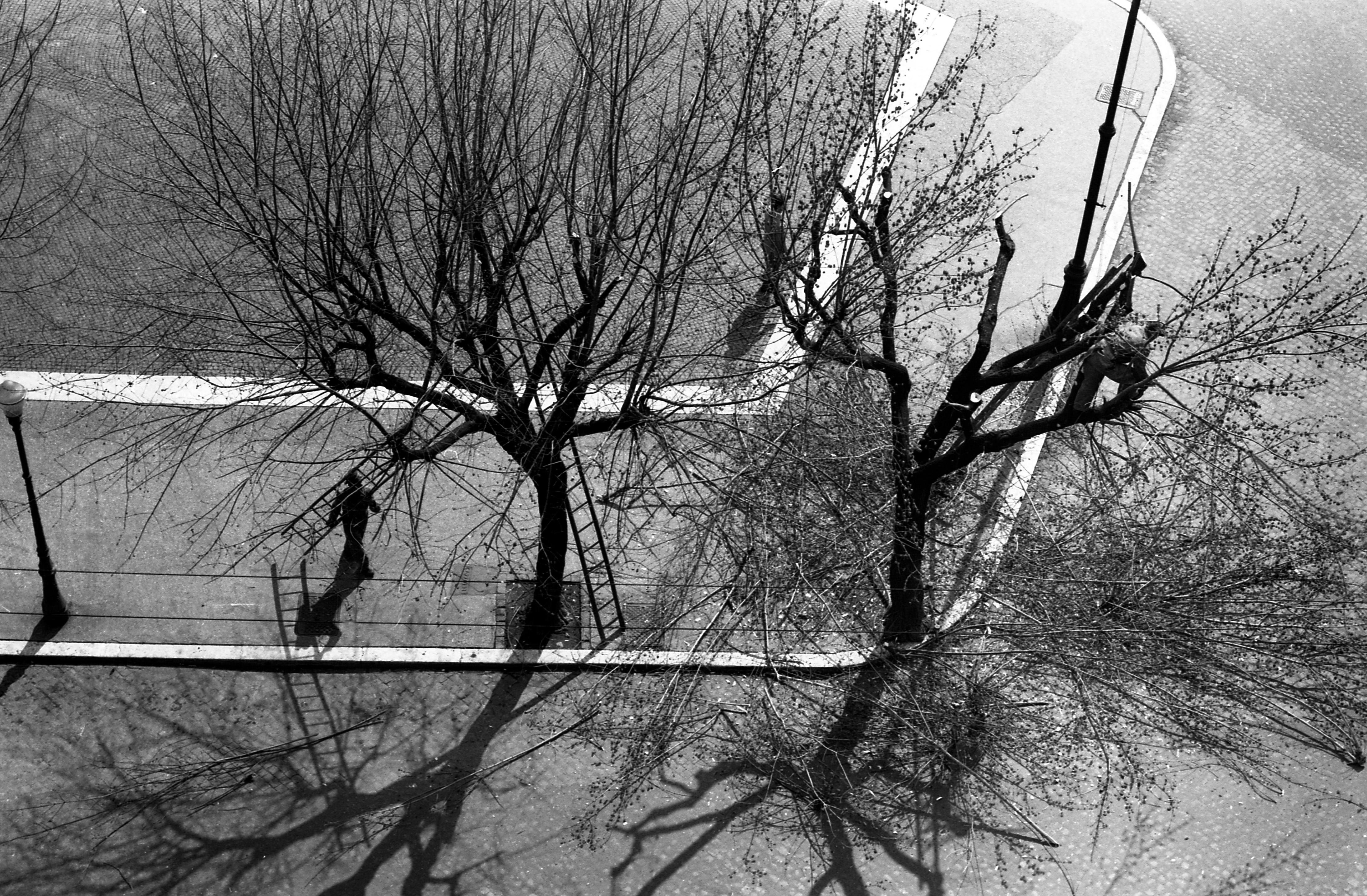 Fabrizio La Torre Black and White Photograph - Taglia corta, Roma 1962 - Contemporary Black & White Photography