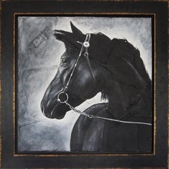  Cavallo, 2015 