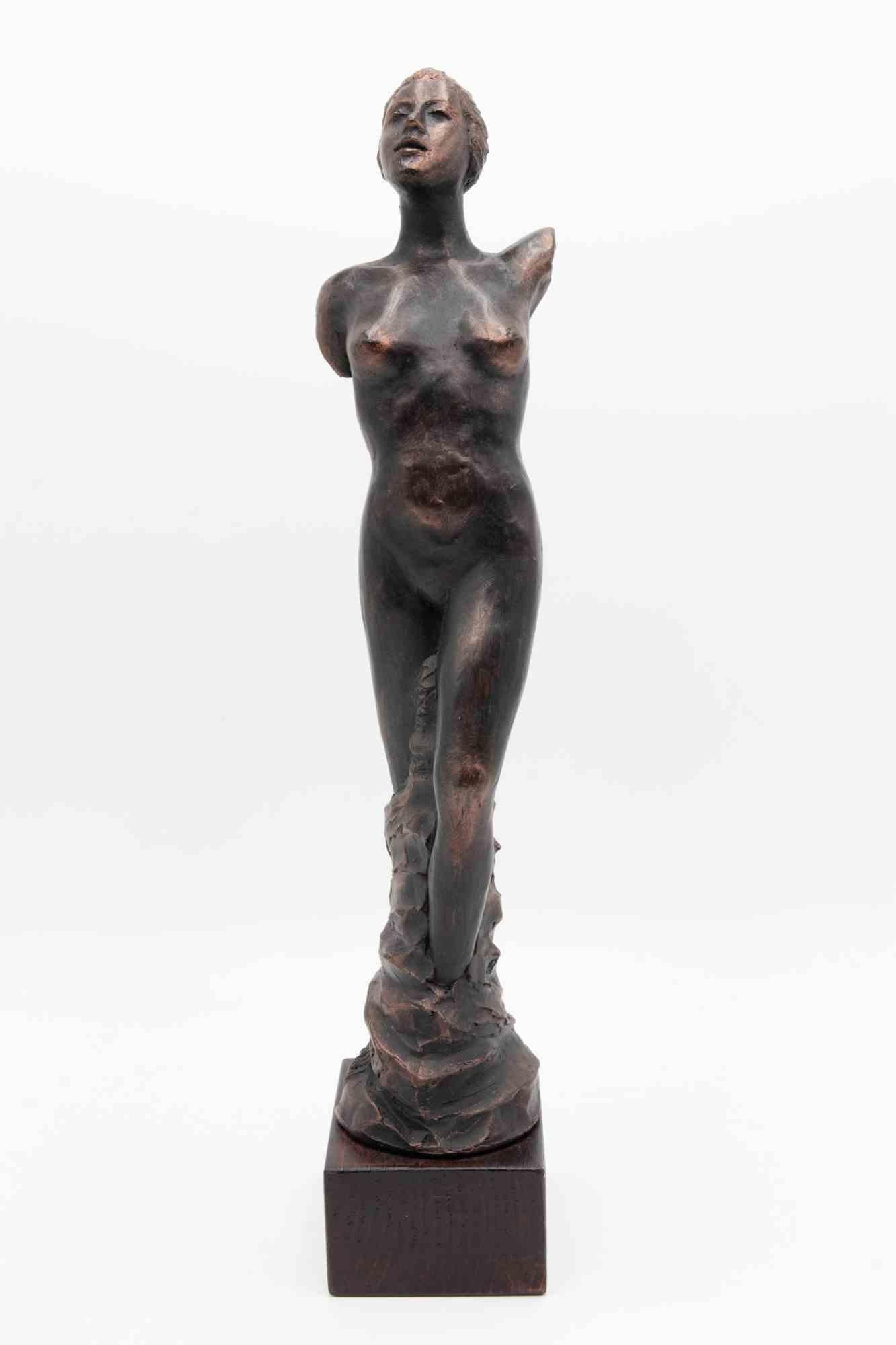 Die Statue einer Frau ist eine Skulptur von Fabrizio Savi aus den 2000er Jahren. 

Weiblicher Körper mit Blick nach oben. Die Beine der Frau sind fest mit ihrem Bronzesockel am Boden verbunden und skizziert.

43x12 cm, inklusive