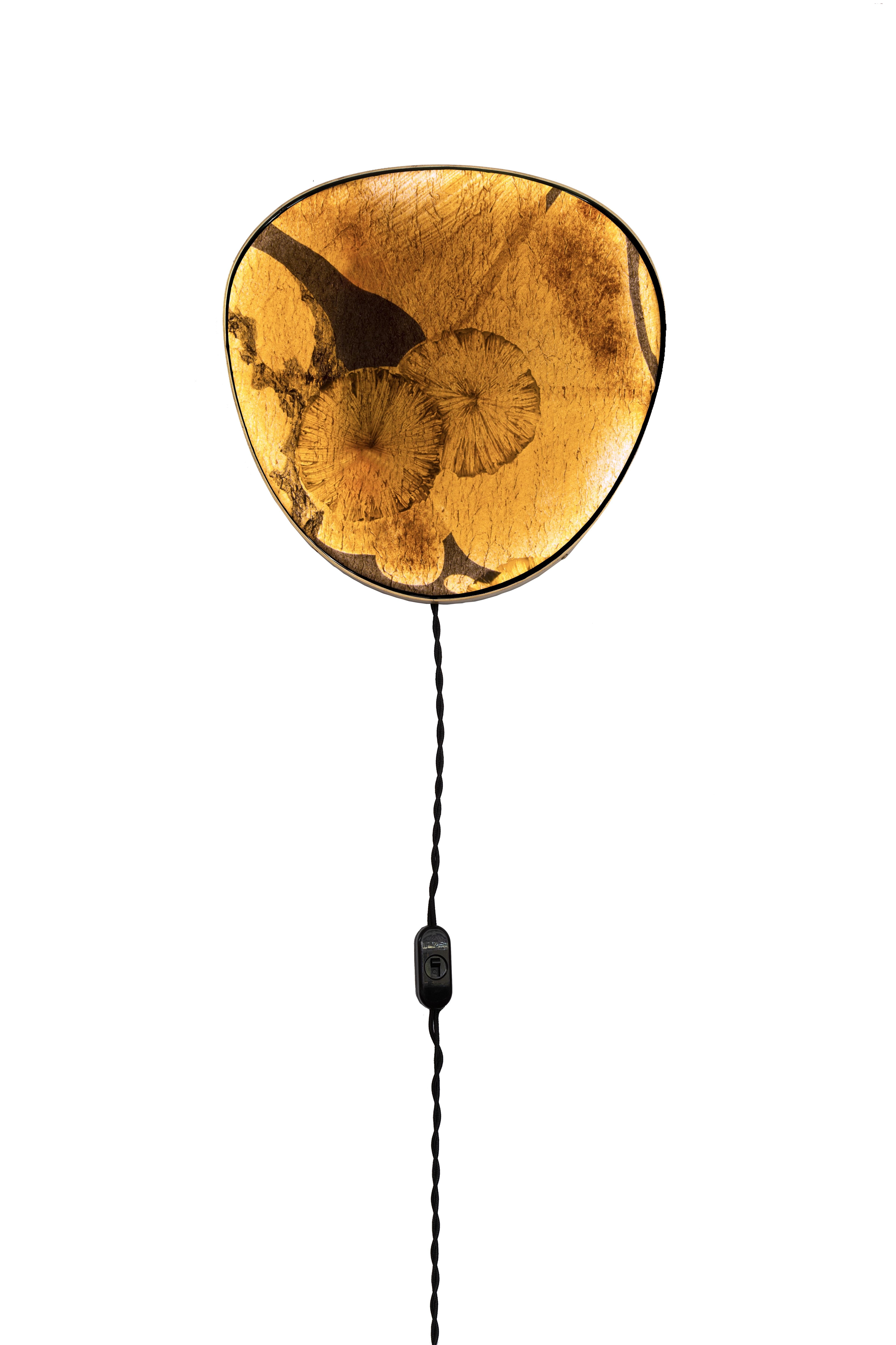 Lampe murale Fabscarte, faite à la main, peinte à la main, Tender Flora en vente 3