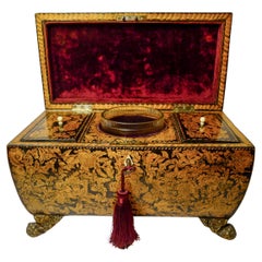 Fabulous Antique English Penwork Double Compartment Tea Caddy c.1820