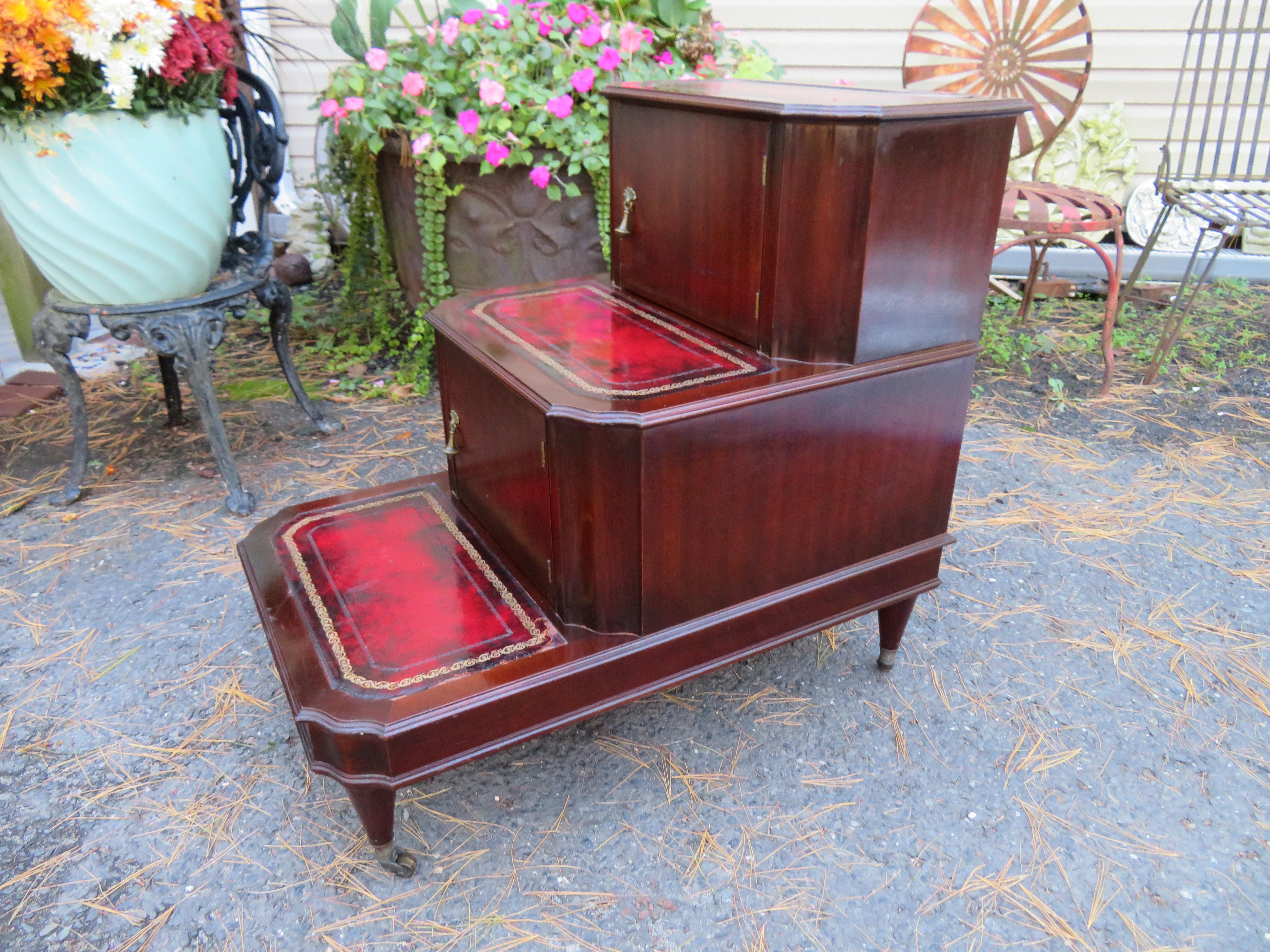 Fabulous Antique Mahogany Library Steps / Side Table For Sale 8