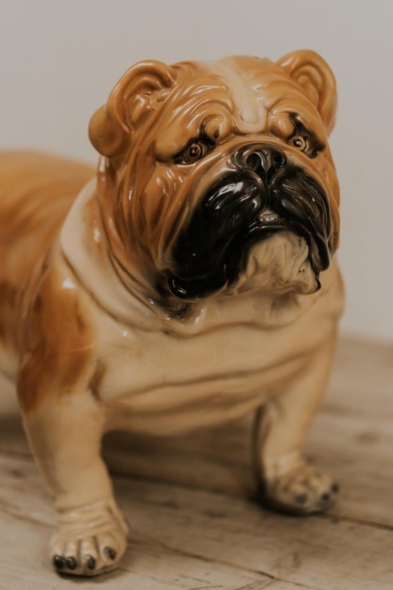 Fabulous Ceramic Bulldog at 1stDibs