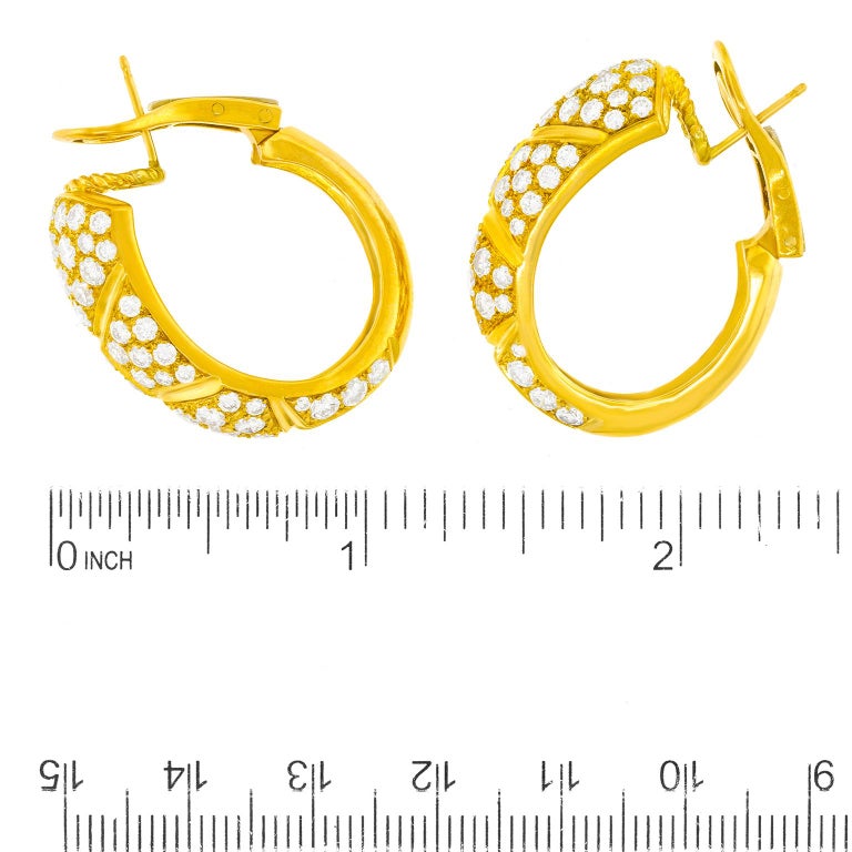 Set of gold earrings Clearance
